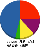 塚田工業 貸借対照表 2012年1月期