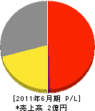 小嶋工業 損益計算書 2011年6月期