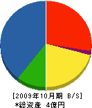 照井土建 貸借対照表 2009年10月期