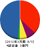 廣瀬建設 貸借対照表 2012年3月期