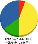 小坂建設 貸借対照表 2012年7月期