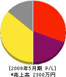 ユニット・エム・アイ・エー 損益計算書 2009年5月期