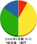飯島興業 貸借対照表 2008年9月期