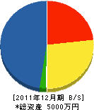 中田ガラス店 貸借対照表 2011年12月期