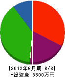 弘成工業 貸借対照表 2012年6月期