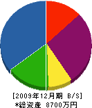 中本産業 貸借対照表 2009年12月期