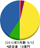 松電舎 貸借対照表 2012年5月期