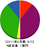 鶴若防災 貸借対照表 2011年6月期