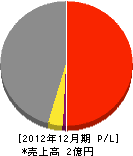 島田組 損益計算書 2012年12月期