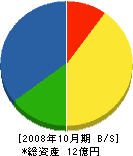 小島電業 貸借対照表 2008年10月期