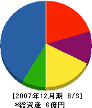 田村工業 貸借対照表 2007年12月期