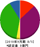 野内硝子 貸借対照表 2010年9月期