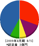 ジャパン特殊 貸借対照表 2009年4月期
