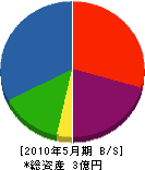 岩崎建設 貸借対照表 2010年5月期