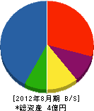 上田建装社 貸借対照表 2012年8月期