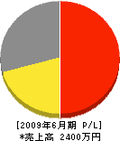 江澤防災設備 損益計算書 2009年6月期