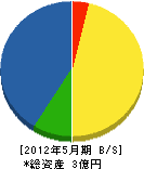 上野山組 貸借対照表 2012年5月期