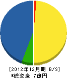 沢田建設 貸借対照表 2012年12月期