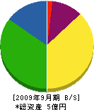 高木沢企業 貸借対照表 2009年9月期
