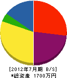 丸竹中村電機商会 貸借対照表 2012年7月期