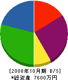 池田組 貸借対照表 2008年10月期