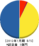 神戸コンフォーム 貸借対照表 2012年1月期