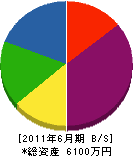 松南商事 貸借対照表 2011年6月期