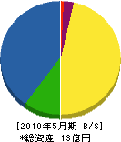 松電舎 貸借対照表 2010年5月期