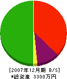 笹田建設 貸借対照表 2007年12月期