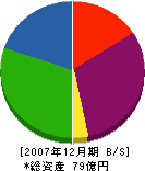中村塗装店 貸借対照表 2007年12月期