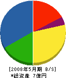 桐田機工 貸借対照表 2008年5月期