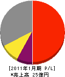 日本放射線防禦 損益計算書 2011年1月期