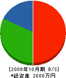 関谷工業 貸借対照表 2008年10月期