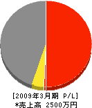 松本産業 損益計算書 2009年3月期