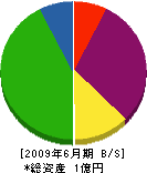 菅野設備 貸借対照表 2009年6月期