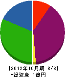野澤木工 貸借対照表 2012年10月期