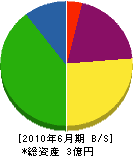ミヤイ電設 貸借対照表 2010年6月期