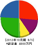 岩元組 貸借対照表 2012年10月期