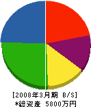 齋藤建築 貸借対照表 2008年3月期