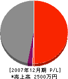長沢建築 損益計算書 2007年12月期