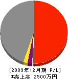 大塚工業 損益計算書 2009年12月期
