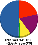 東武興業 貸借対照表 2012年9月期