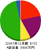 兼松建設 貸借対照表 2007年12月期