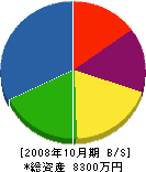 埼玉緑土 貸借対照表 2008年10月期