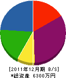 岡長商店 貸借対照表 2011年12月期