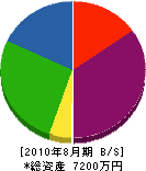 平井塗装 貸借対照表 2010年8月期