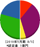 伸晃産業 貸借対照表 2010年5月期