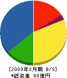 新陽社 貸借対照表 2009年3月期