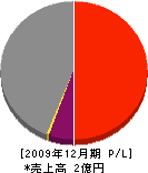 渡辺建設 損益計算書 2009年12月期
