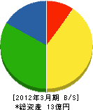 天禄商会 貸借対照表 2012年3月期